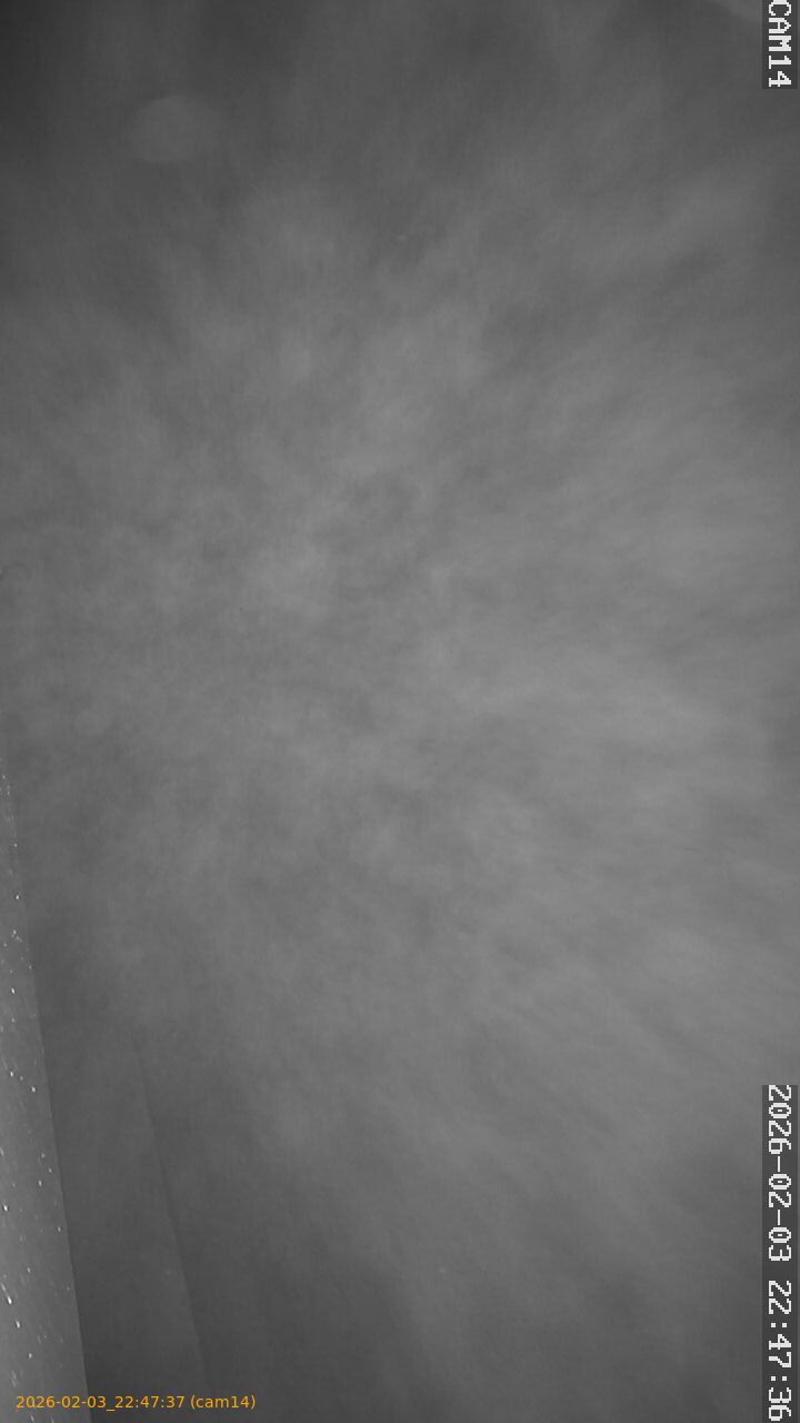 thumbnail_20260203224737