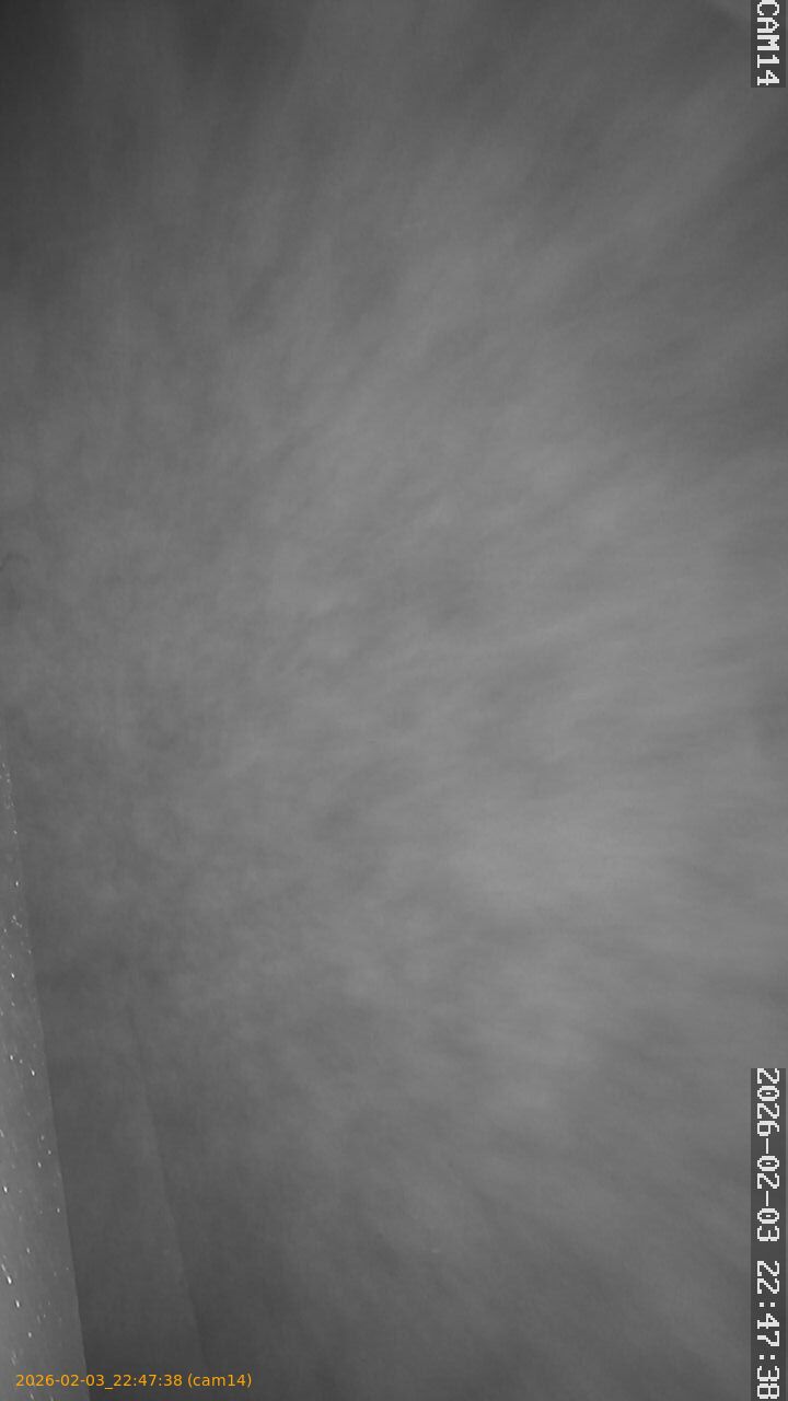 thumbnail_20260203224738