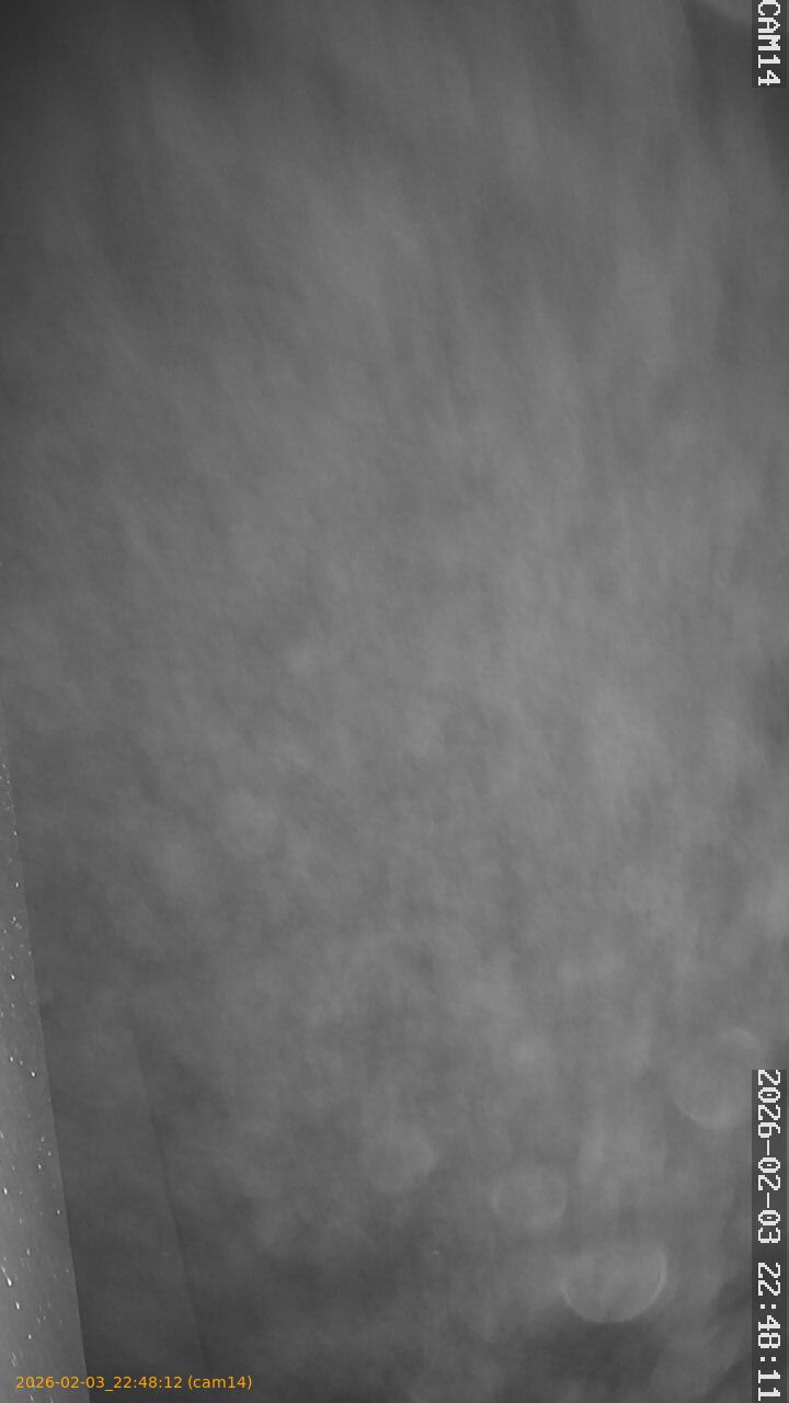 thumbnail_20260203224812