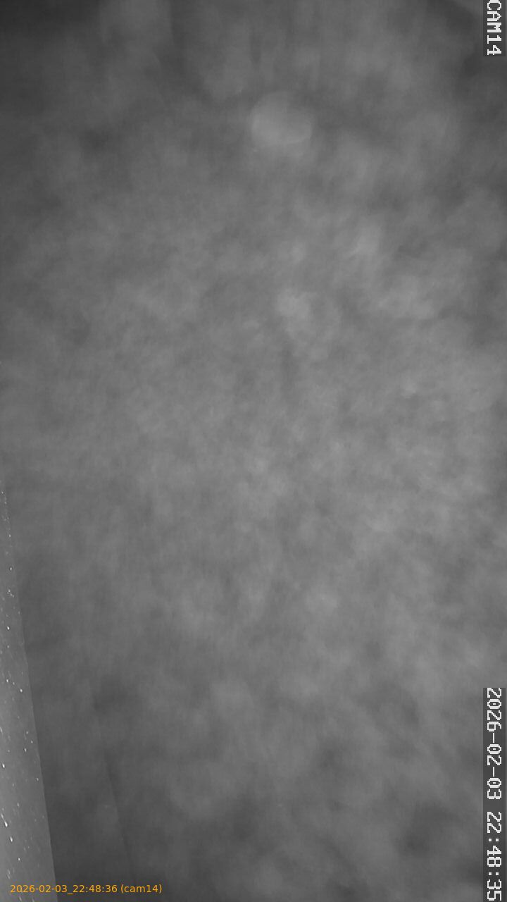 thumbnail_20260203224836