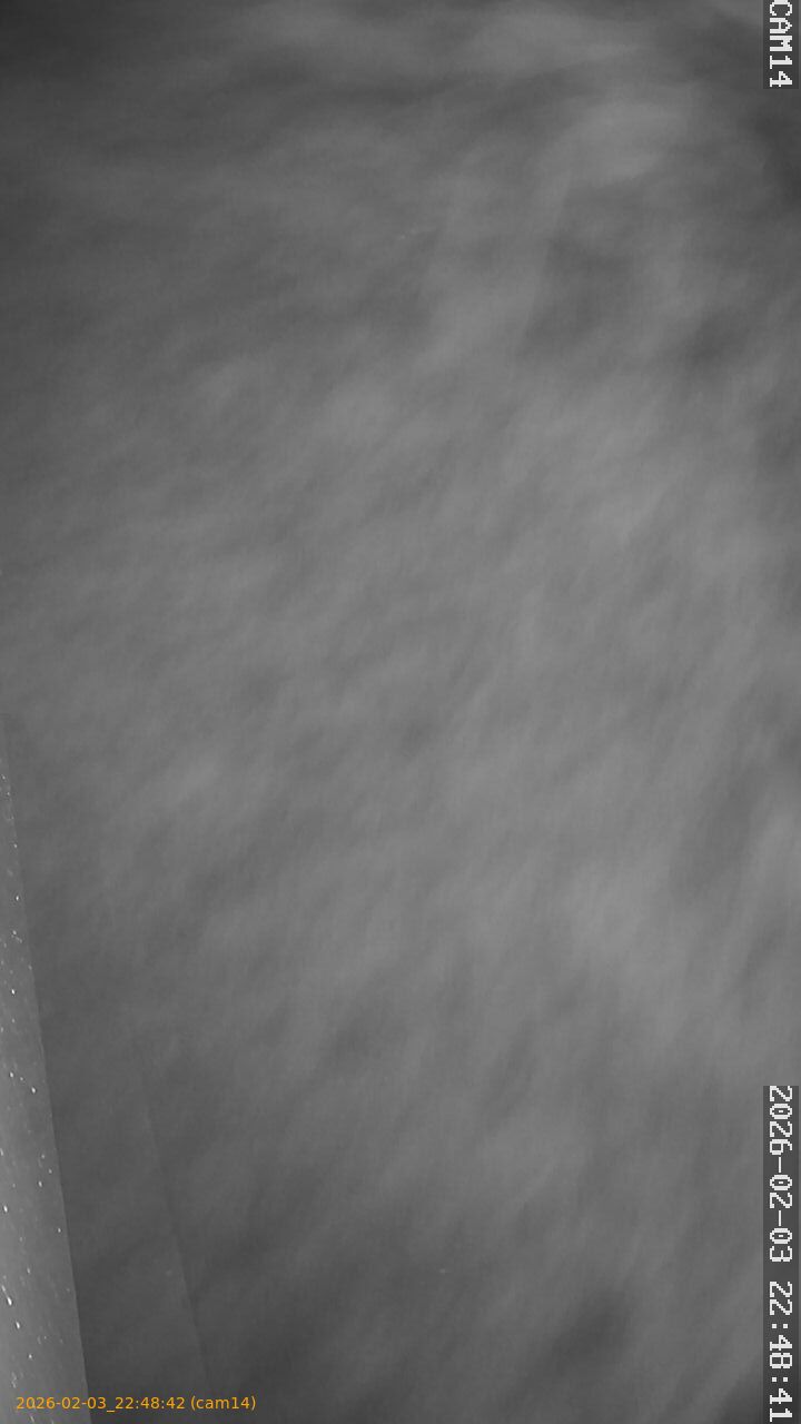 thumbnail_20260203224842