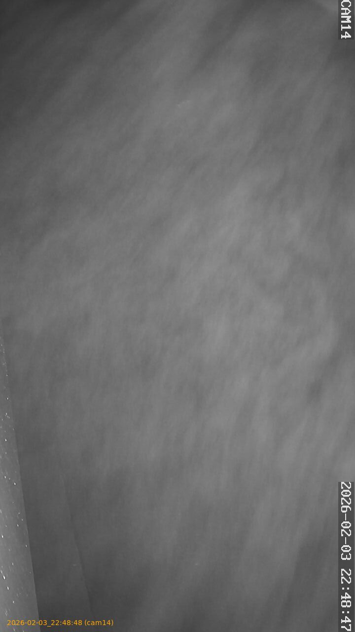 thumbnail_20260203224848