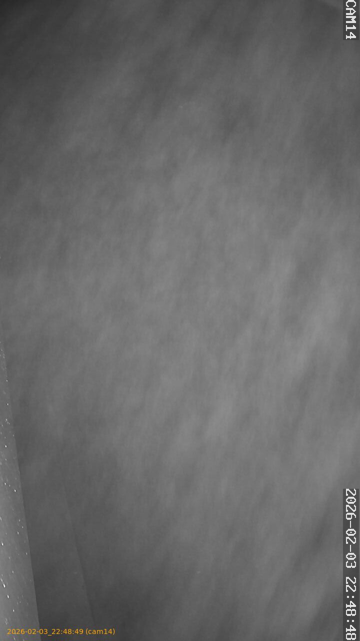 thumbnail_20260203224849