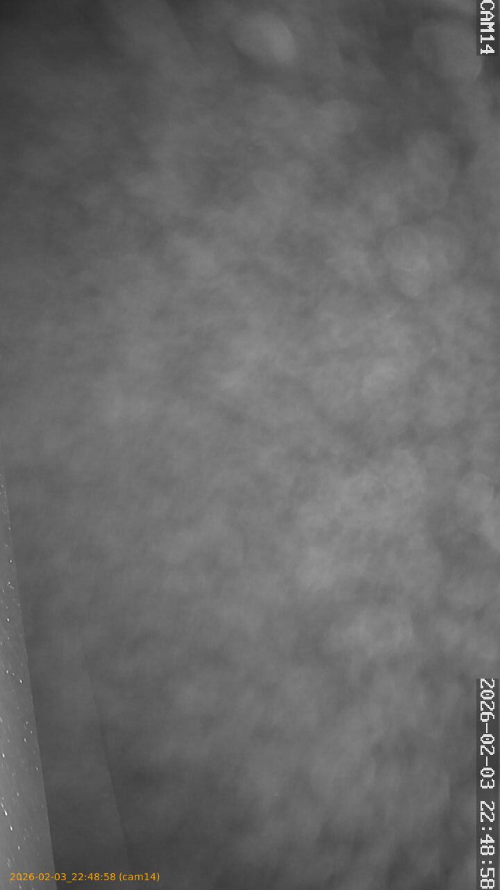 thumbnail_20260203224858