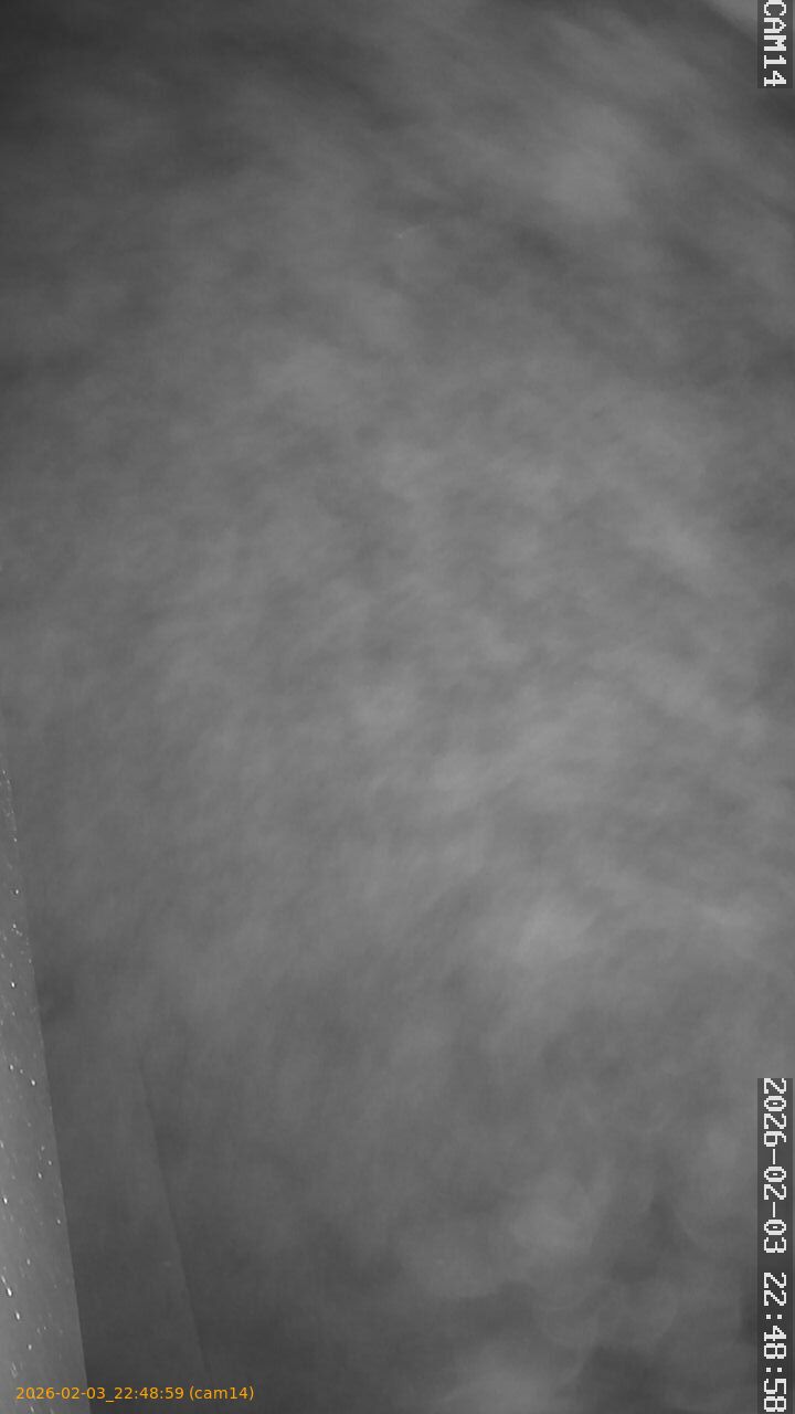 thumbnail_20260203224859