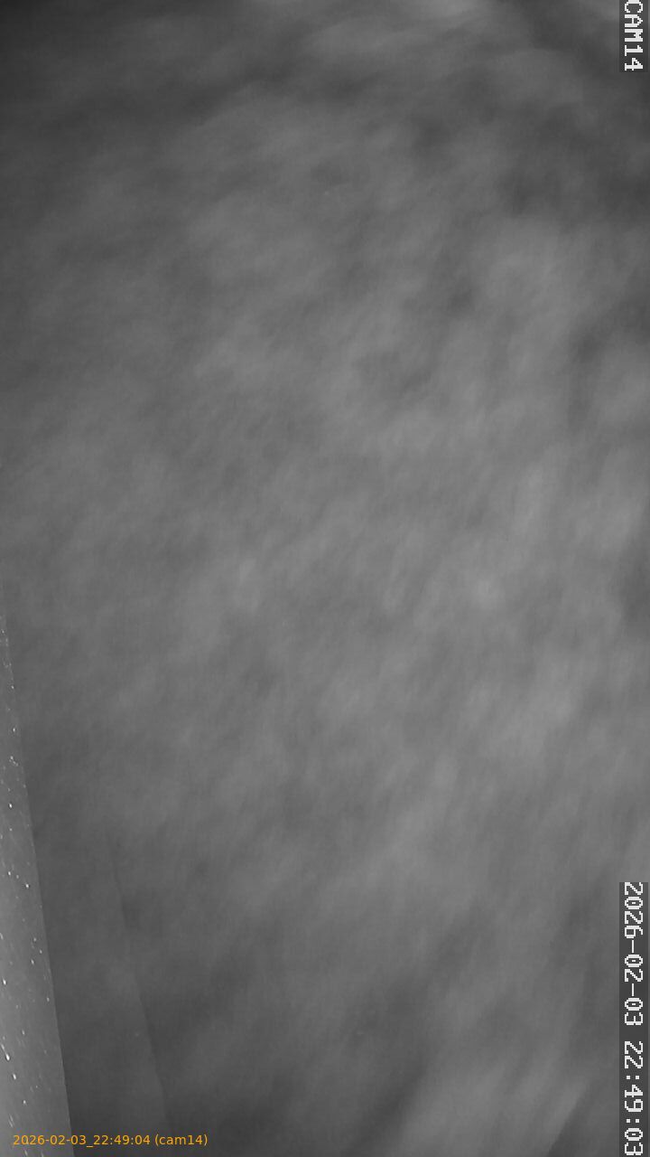 thumbnail_20260203224904