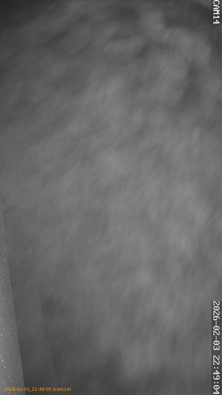 thumbnail_20260203224905