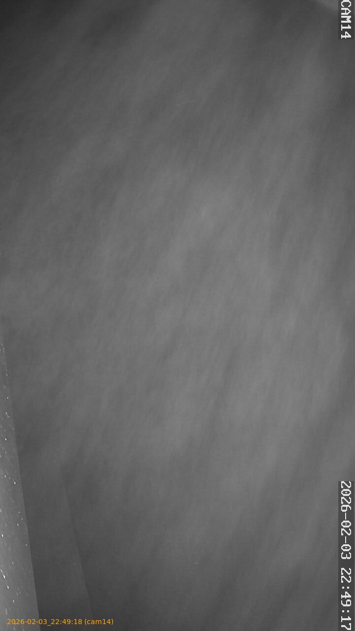 thumbnail_20260203224918