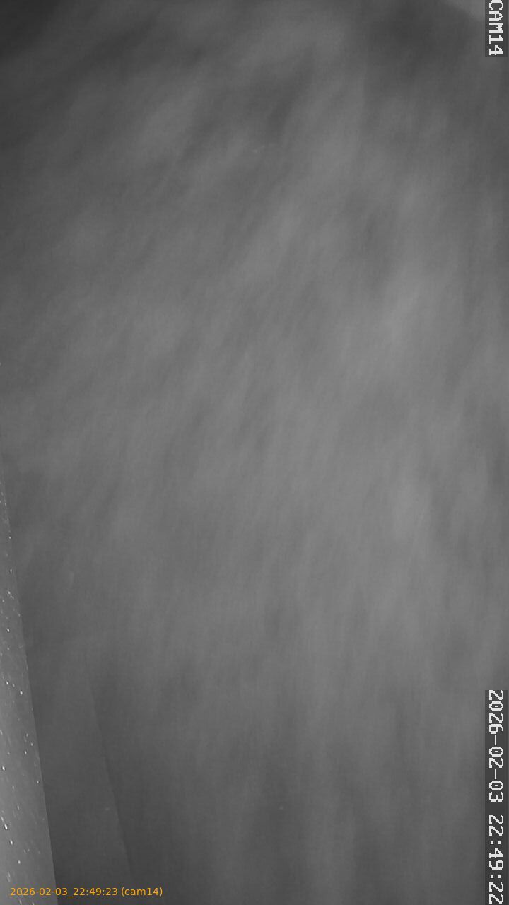 thumbnail_20260203224923