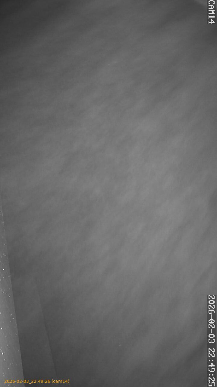 thumbnail_20260203224926