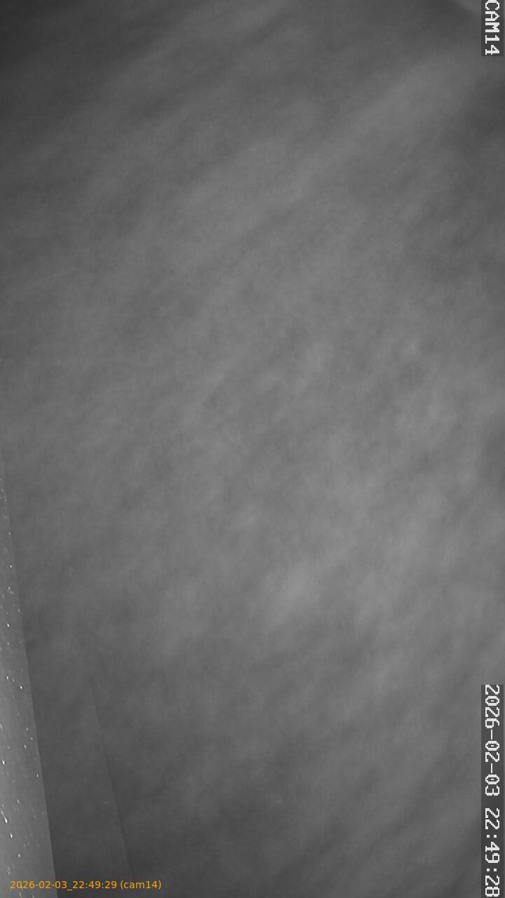 thumbnail_20260203224929