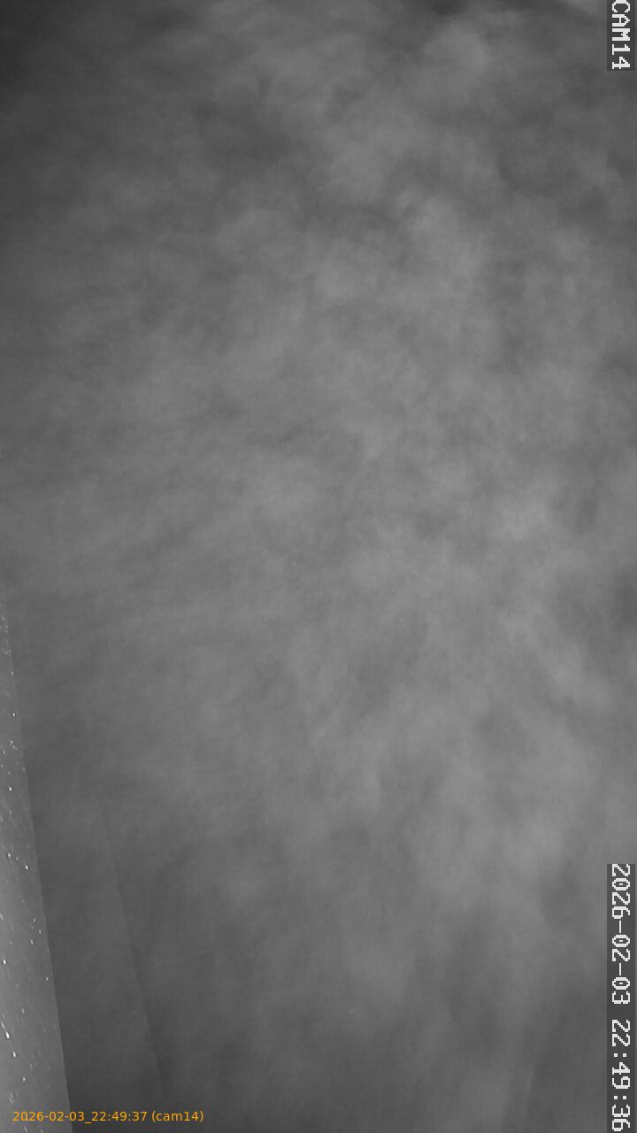 thumbnail_20260203224937