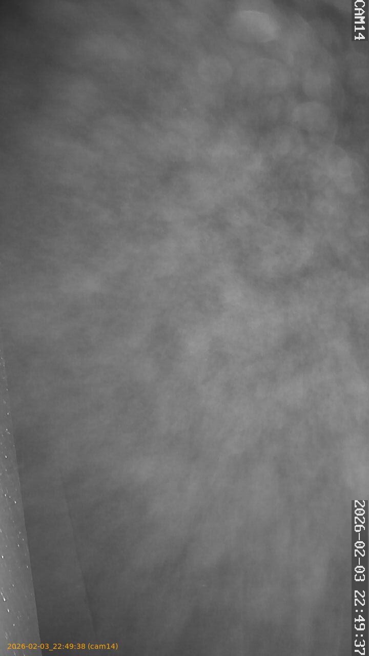 thumbnail_20260203224938