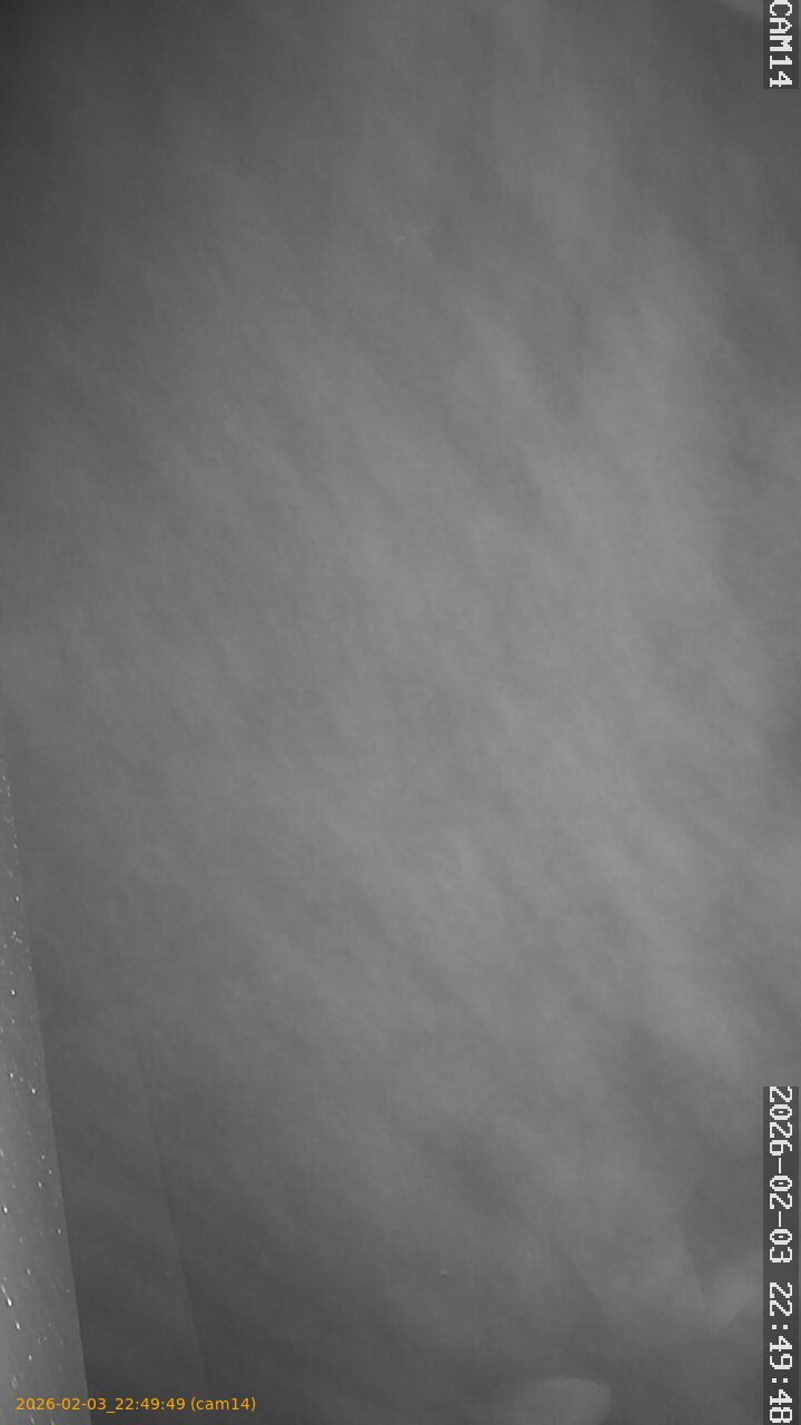 thumbnail_20260203224949