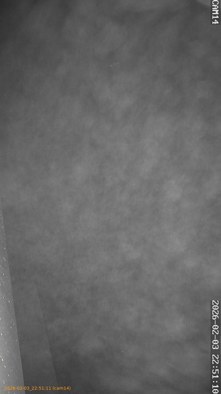 thumbnail_20260203225111