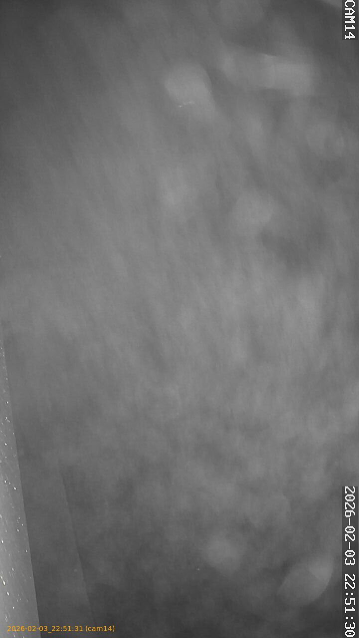 thumbnail_20260203225131