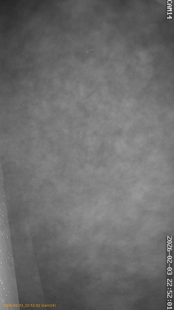 thumbnail_20260203225202