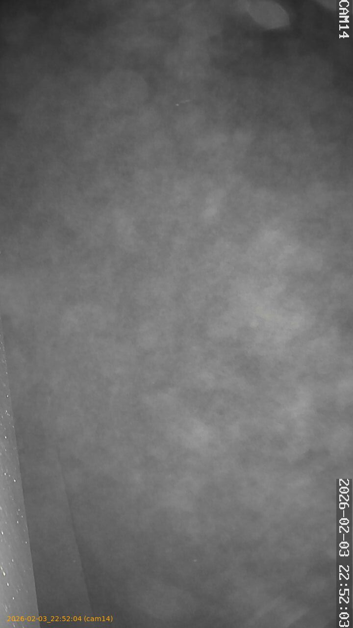 thumbnail_20260203225204