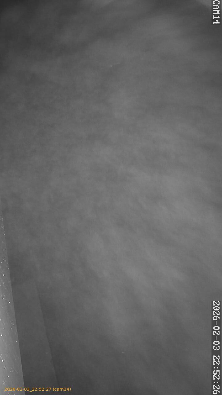 thumbnail_20260203225227