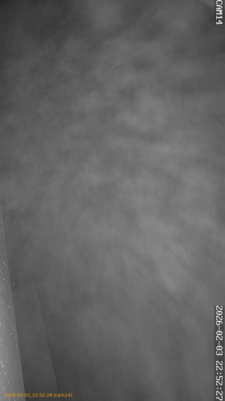 thumbnail_20260203225228