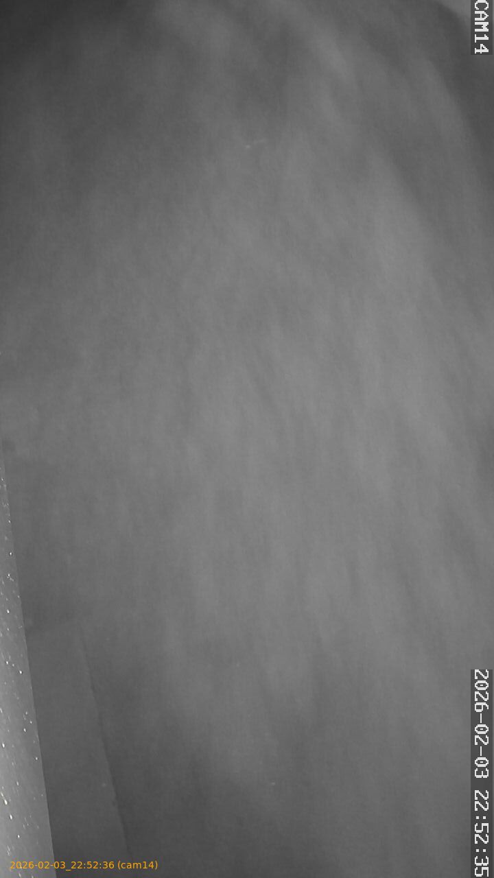 thumbnail_20260203225236