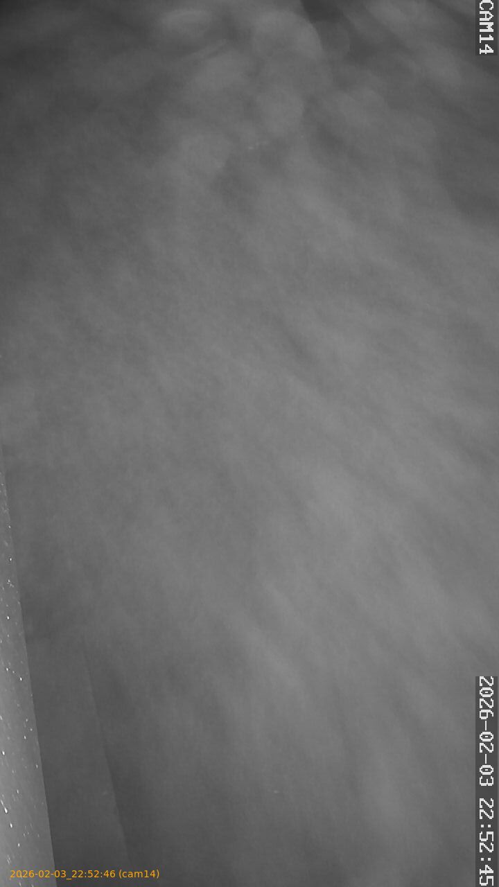 thumbnail_20260203225246