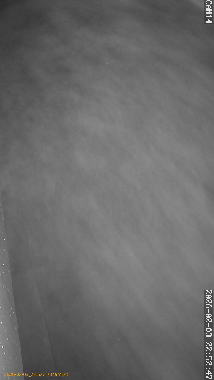 thumbnail_20260203225247