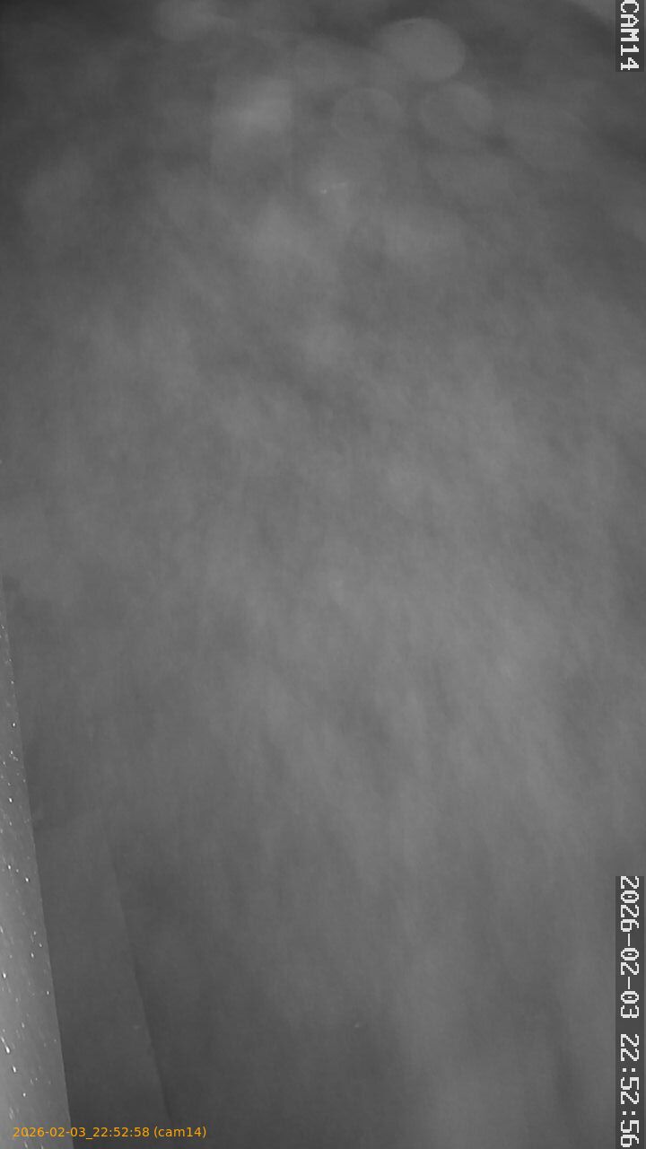 thumbnail_20260203225258