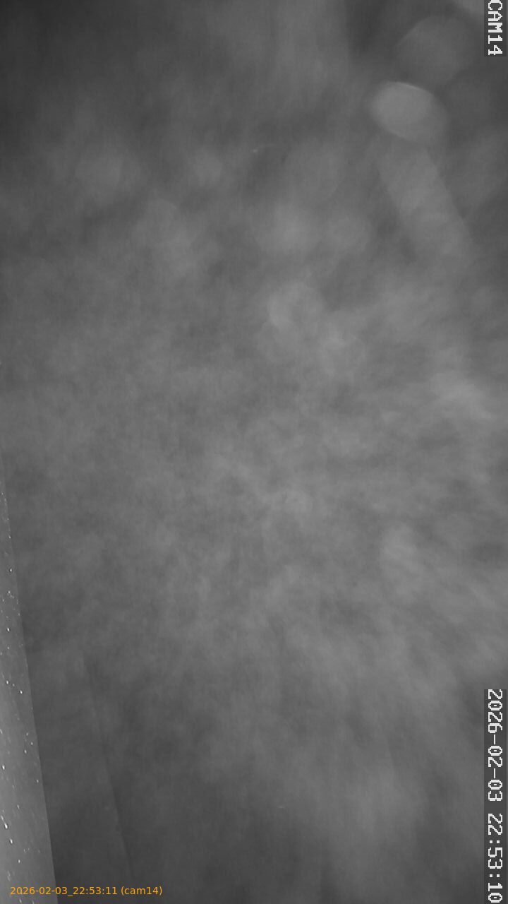 thumbnail_20260203225311