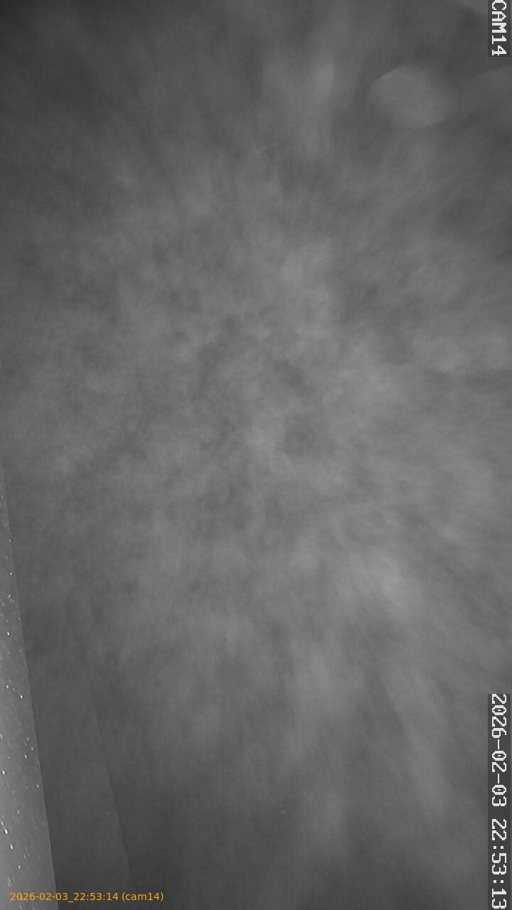 thumbnail_20260203225314