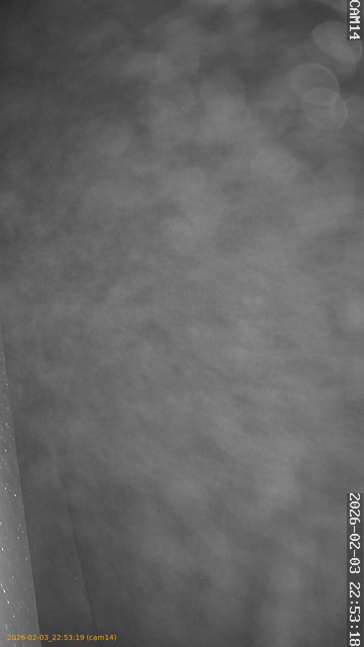 thumbnail_20260203225319