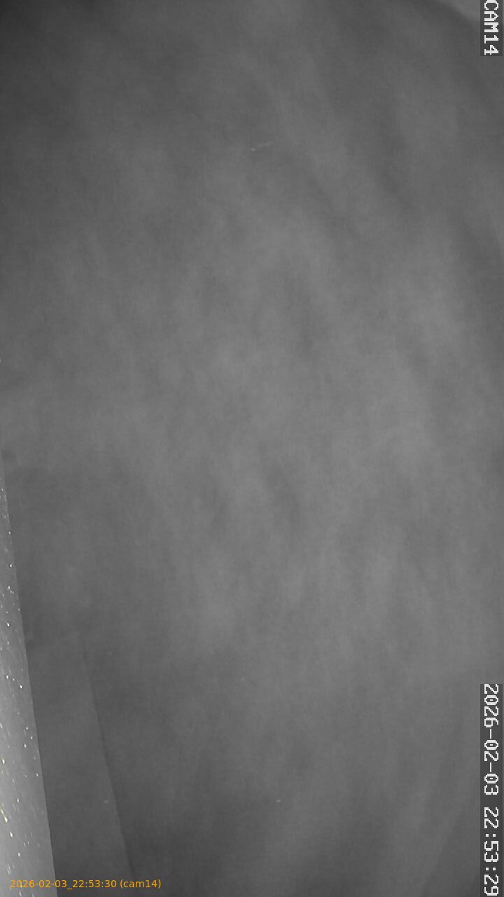 thumbnail_20260203225330