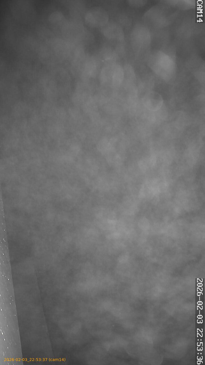 thumbnail_20260203225337