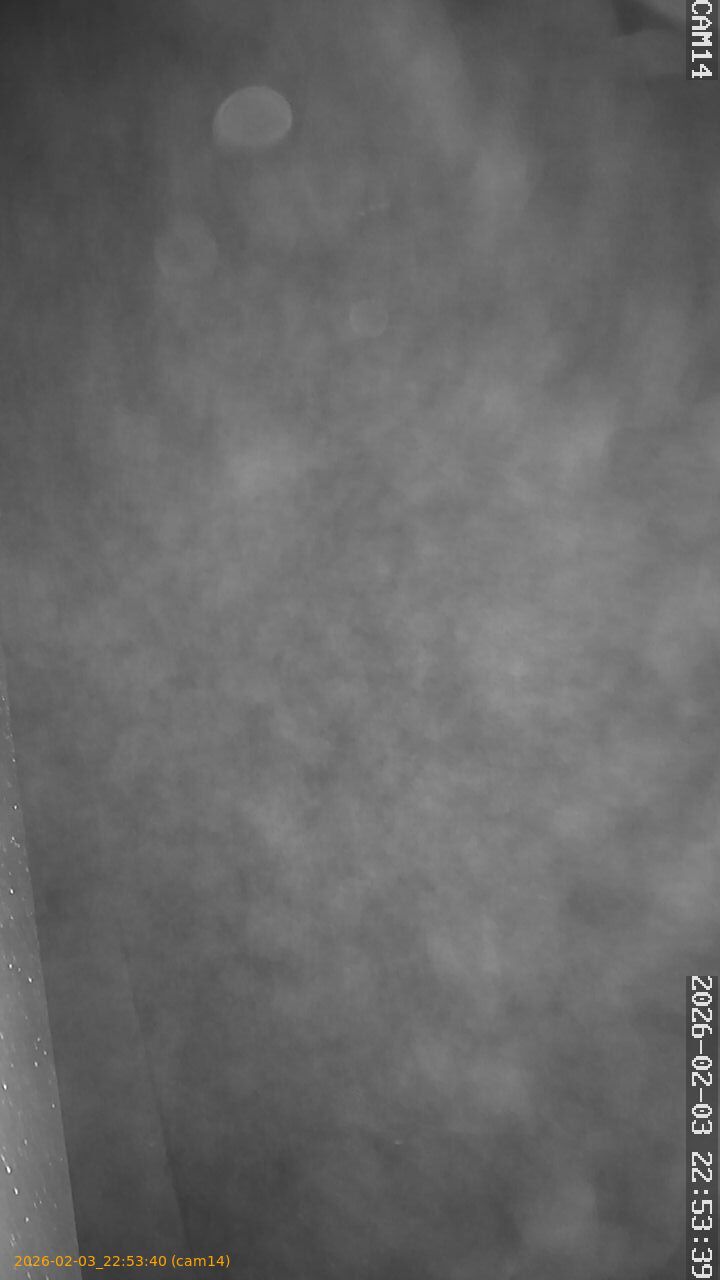 thumbnail_20260203225340