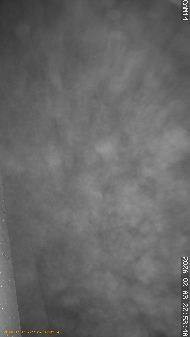 thumbnail_20260203225341