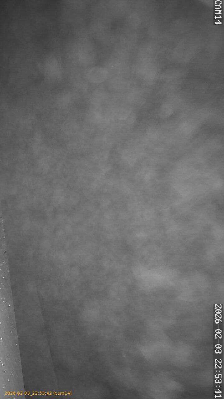 thumbnail_20260203225342