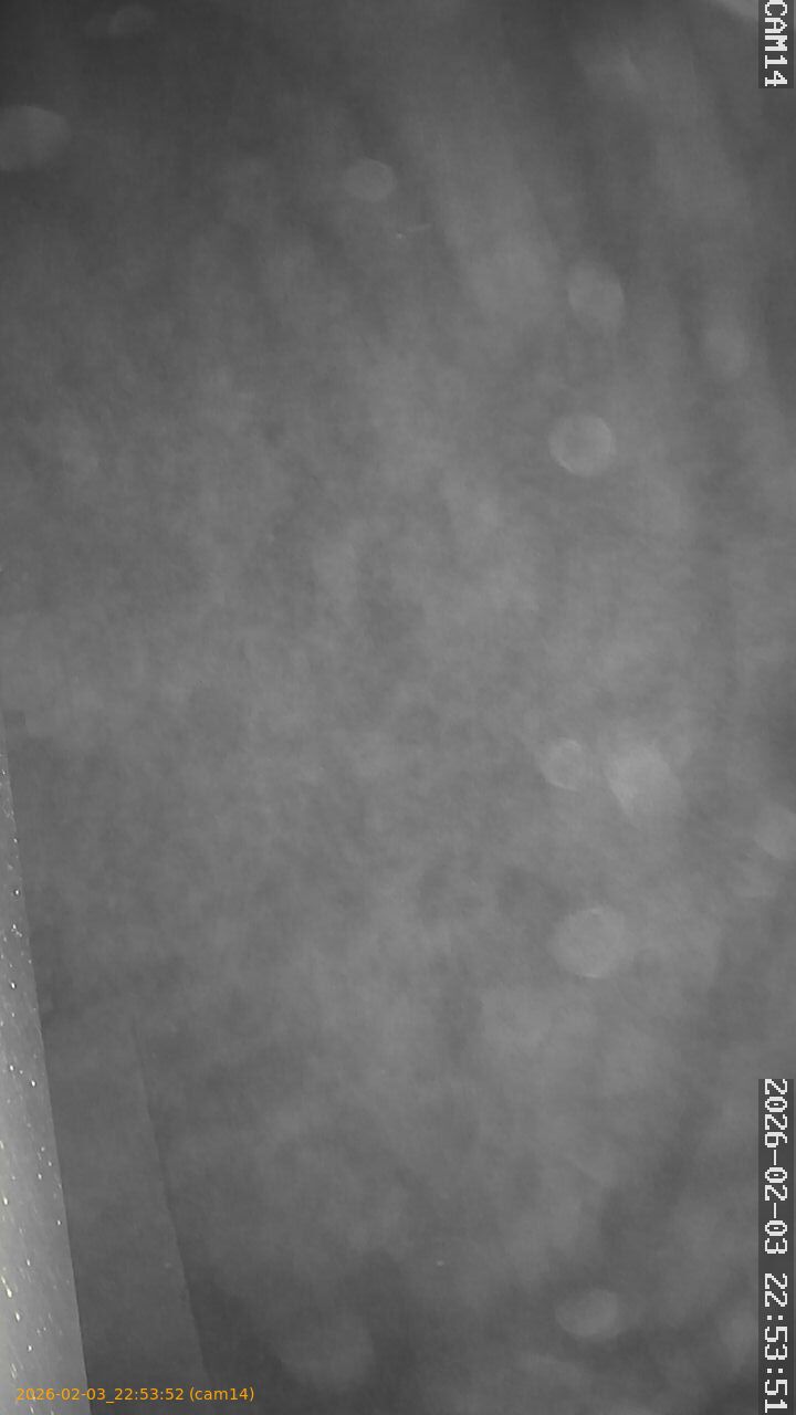 thumbnail_20260203225352