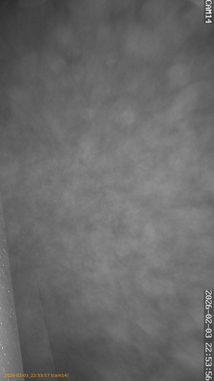 thumbnail_20260203225357