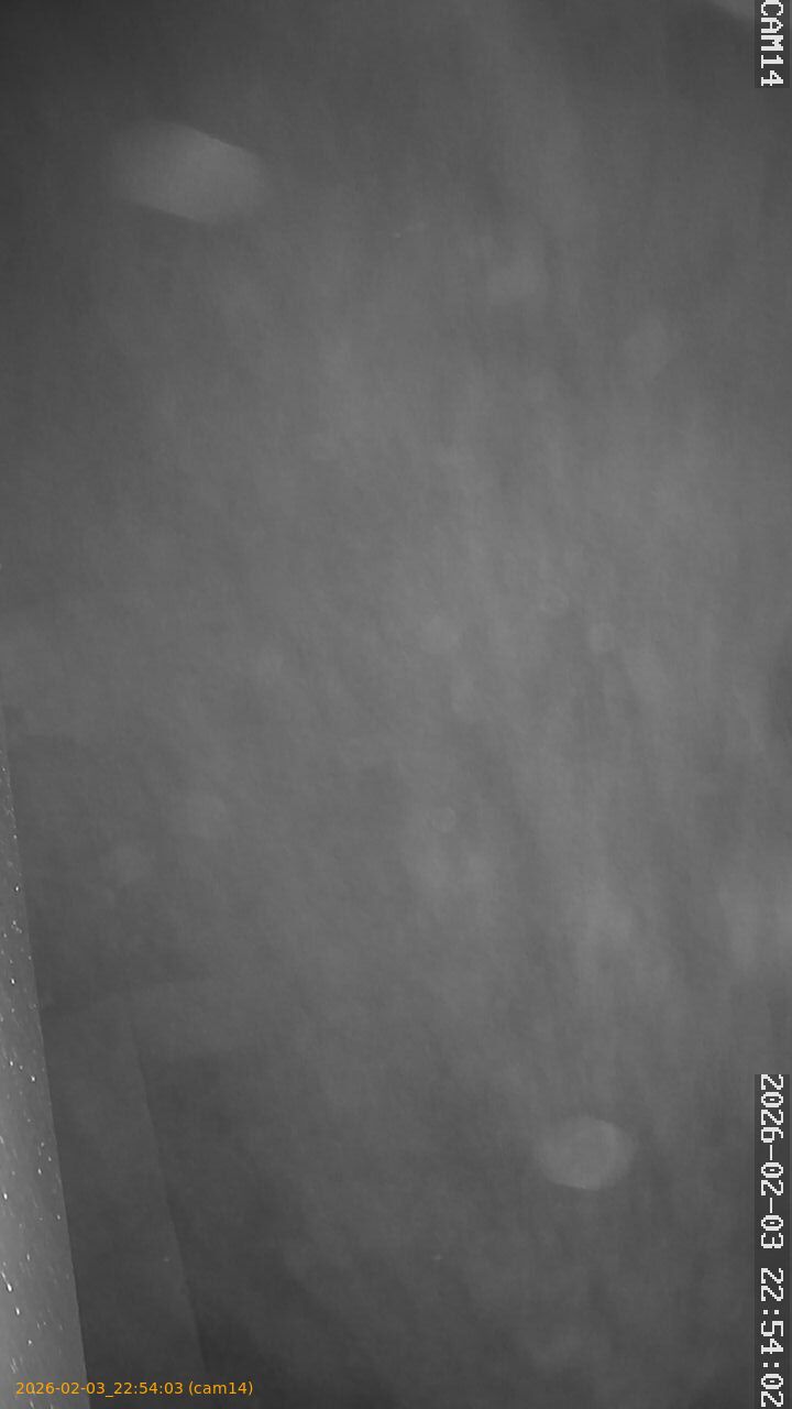 thumbnail_20260203225403