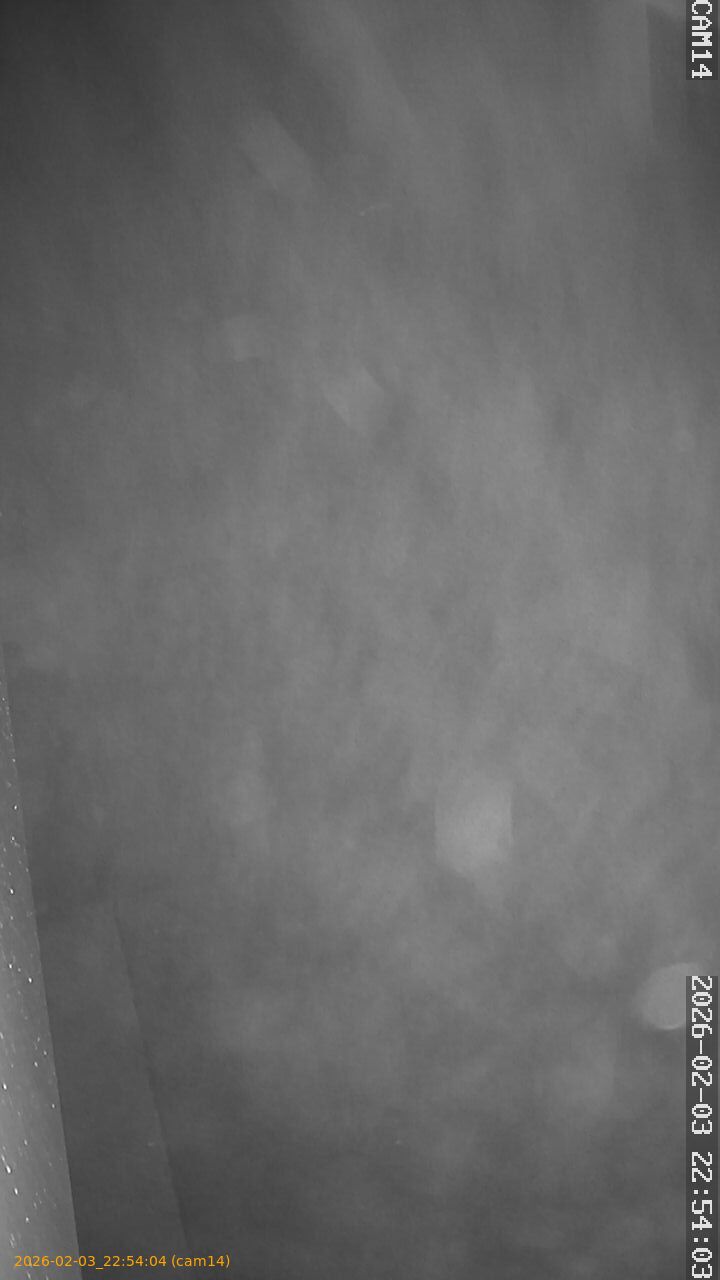 thumbnail_20260203225404