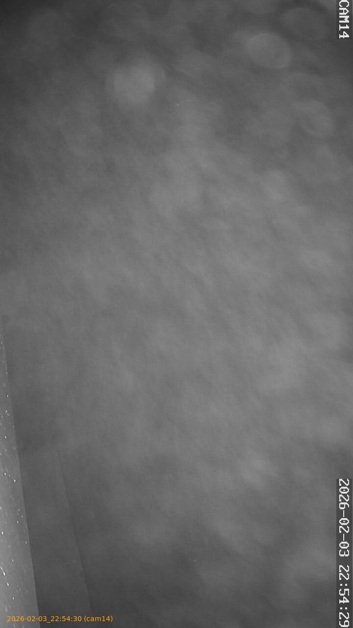 thumbnail_20260203225430