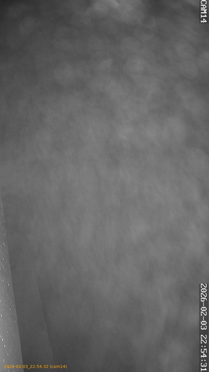 thumbnail_20260203225432