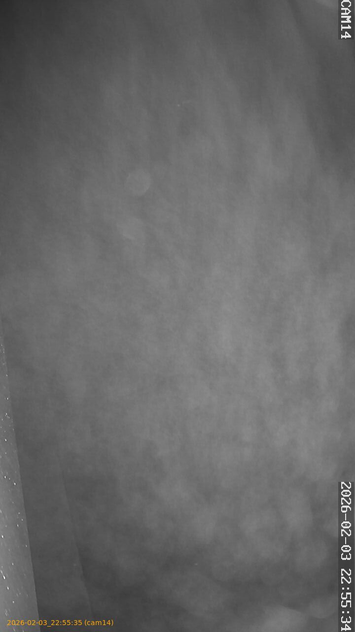 thumbnail_20260203225535