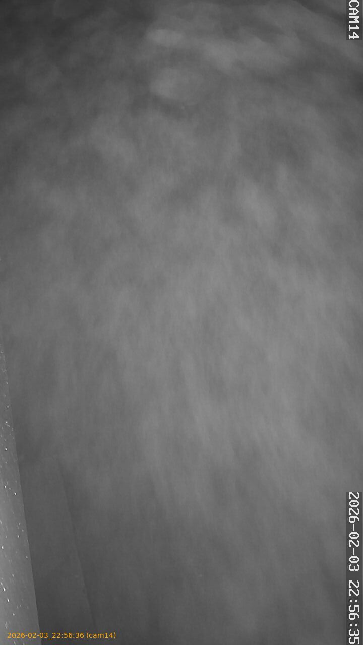 thumbnail_20260203225636