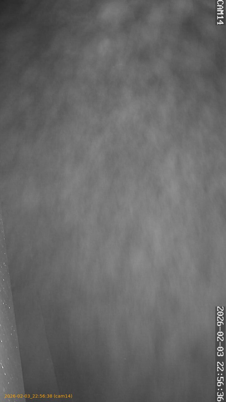 thumbnail_20260203225637