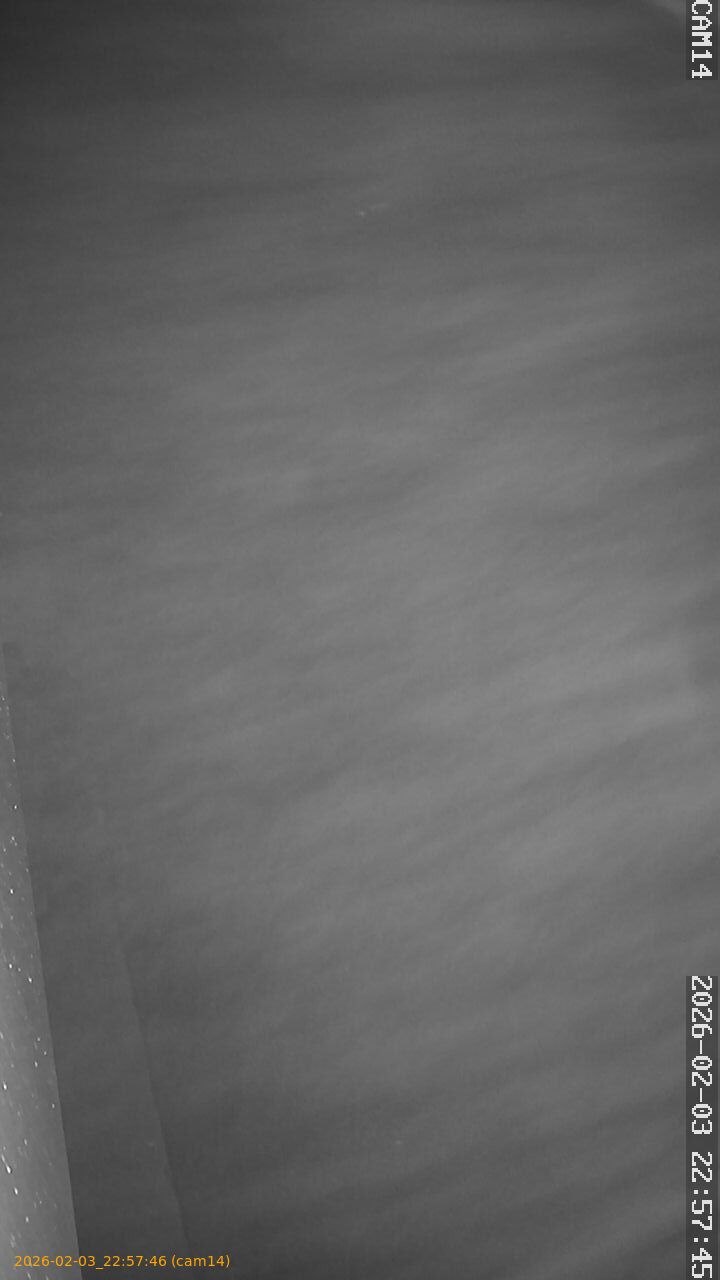 thumbnail_20260203225746