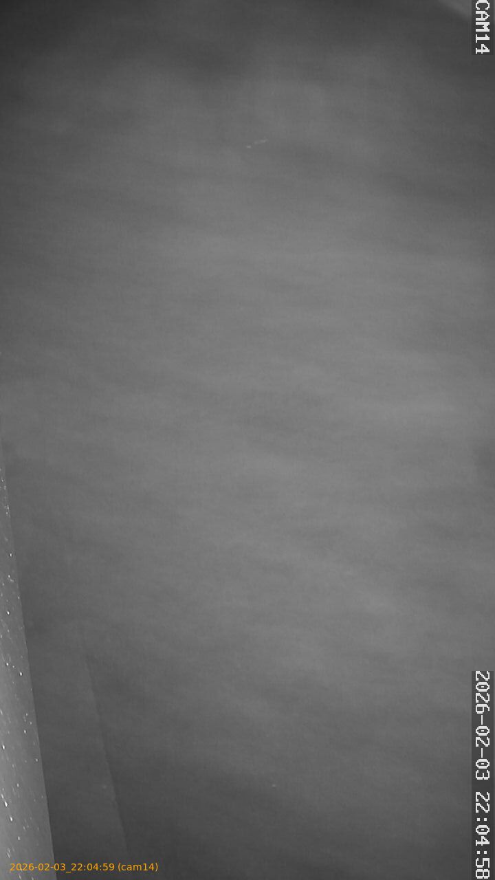 thumbnail_202602032204