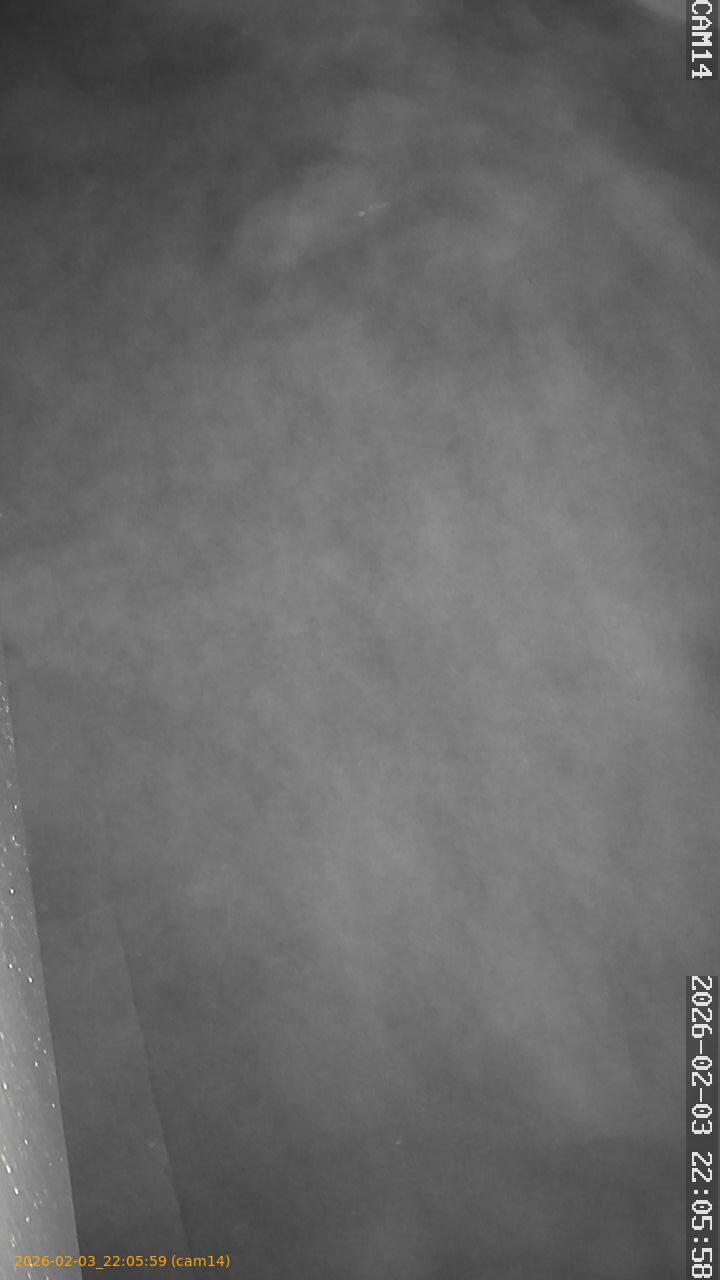 thumbnail_202602032205