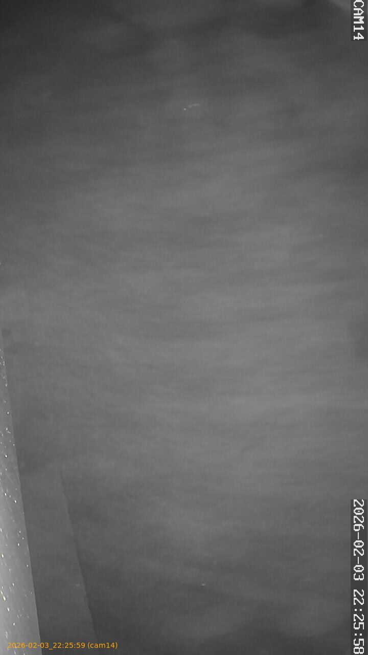 thumbnail_202602032225