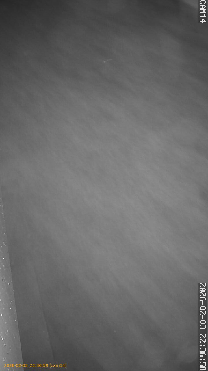 thumbnail_202602032236